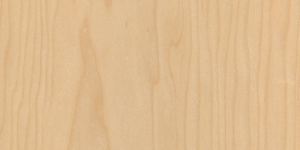 Maple real wood veneer sample